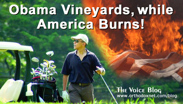 Obama Vineyards, while America Burns